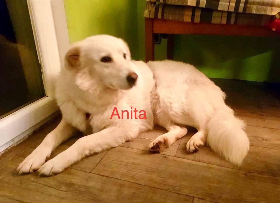 Anita