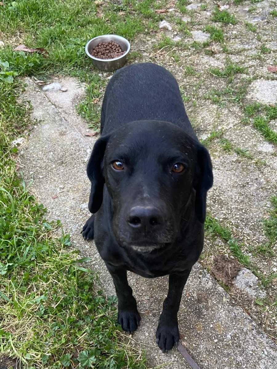 Nerone
