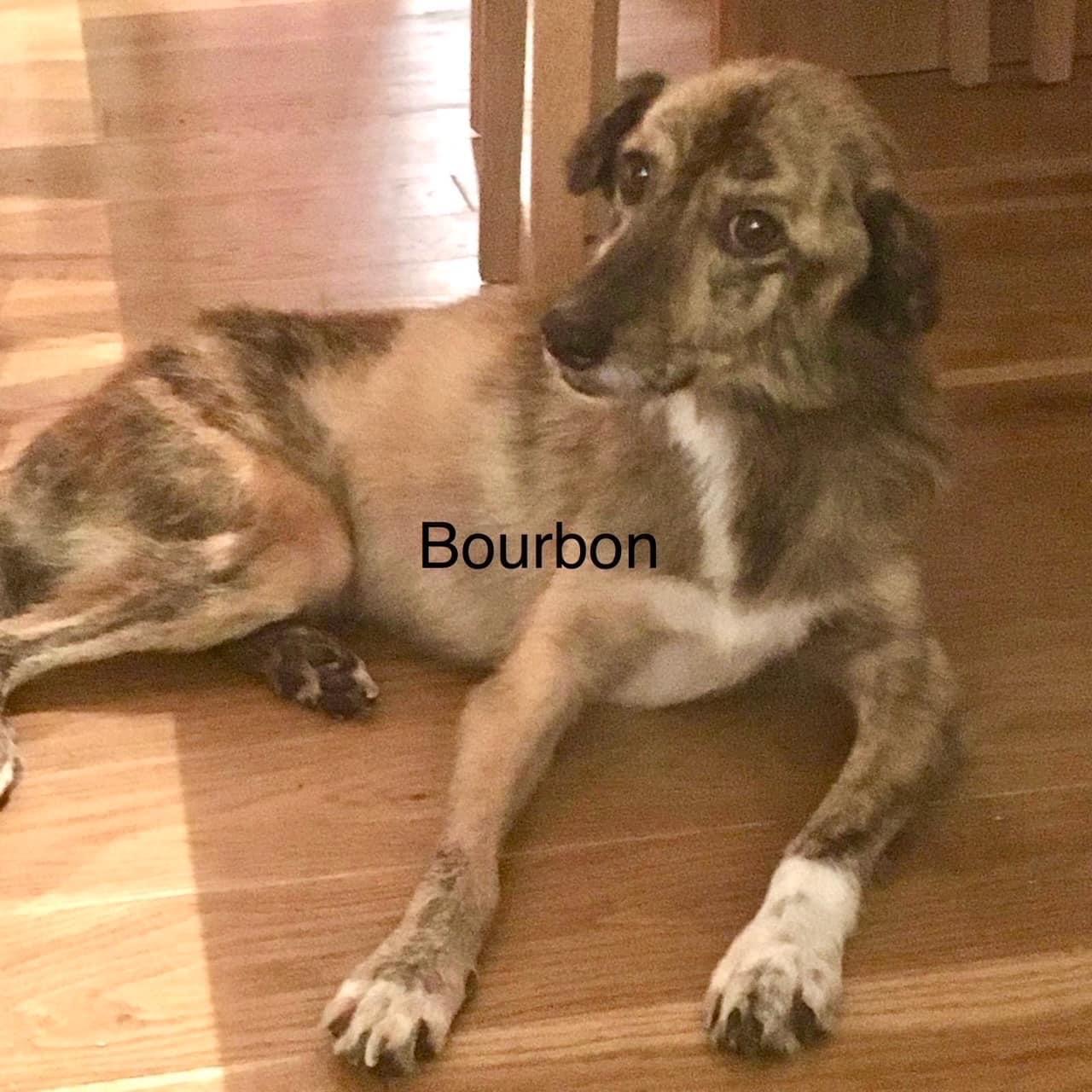 Bourbon